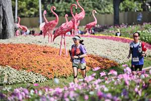 BIB: 
                            <button type="button" onclick="openModal(27793325)" class="btn btn-primary btn-sm float-right btn-popup" data-toggle="modal" data-target=".modal-high-quality">
                        <i class="fas fa-shopping-cart"></i> Add to Cart
                    </button>
                                            <button type="button" onclick="isThisMe(27793325, true)" class="btn btn-success btn-sm float-right btn-popup btn-isme hidden" data-toggle="tooltip" data-placement="bottom" title="นี่คือรูปของคุณใช่ไหม คลิกที่นี่เพื่อเอาเข้าอัลบั้ม">
                        <i class="fas fa-plus"></i> Add to album
                    </button>
                    <button type="button" onclick="isThisMe(27793325, false)" class="btn btn-warning btn-sm float-right btn-popup btn-isnotme hidden">
                        <i class="fas fa-ban"></i> Remove from album
                    </button>